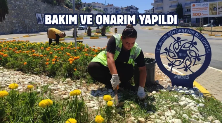 Aydın Kuşadası’nda çevre düzenleme çalışması yapılıyor