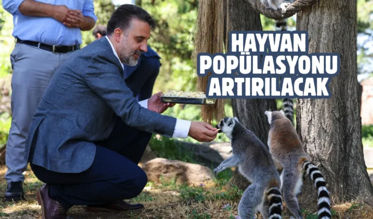 Başkan Vekili Biba’dan Bursa Hayvanat Bahçesi’ne ziyaret