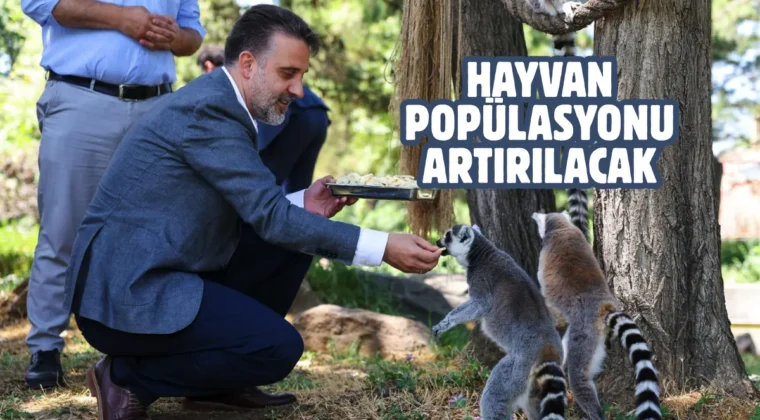 Başkan Vekili Biba’dan Bursa Hayvanat Bahçesi’ne ziyaret