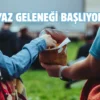 Denizli’de açık hava sinema günleri başlıyor