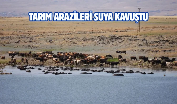 Diyarbakır Karacadağ’da gölet onarıldı
