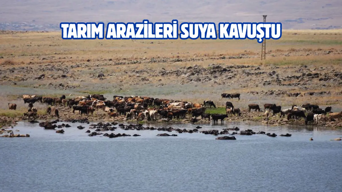 Diyarbakır Büyükşehir Belediyesi, Karacadağ’da yağışlar nedeniyle zarar gören gölette bakım