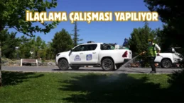 Elazığ’da vektörel mücadele sürüyor