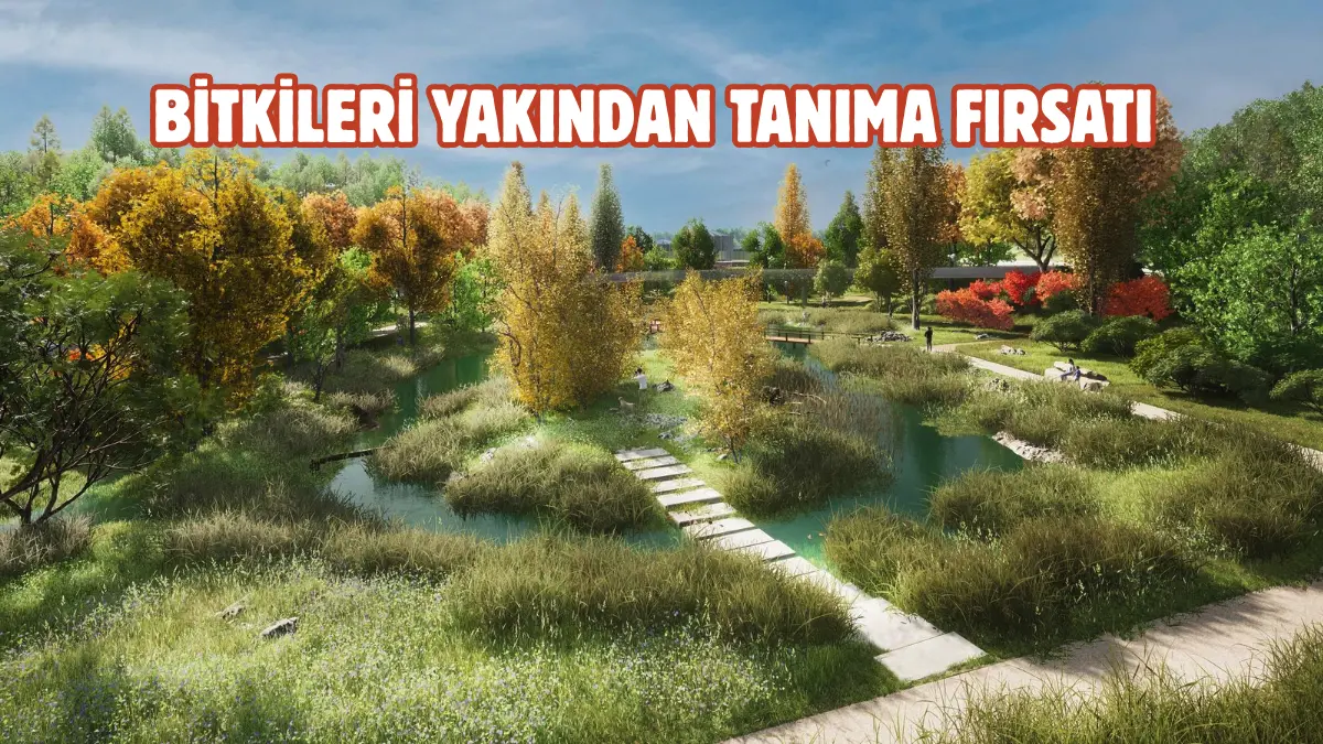 Gaziantep Büyükşehir Belediyesi tarafından hayata geçirilecek olan ve yaklaşık 300