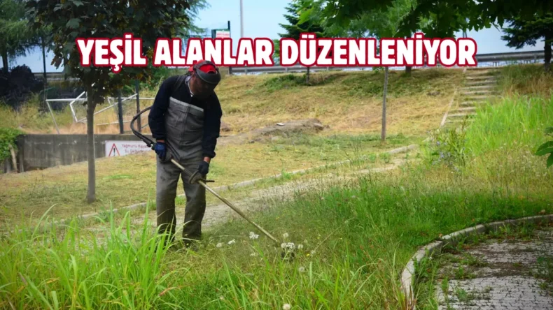 Giresun’da çevre düzenleme çalışmaları sürüyor