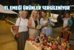 Giresun’da Kadın El Emeği Pazarı sergileniyor