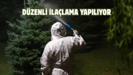 Keçiören’de parklar ve yeşil alanlar ilaçlanıyor