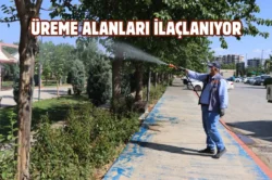 Şanlıurfa’da vektörle mücadele çalışmaları sürüyor