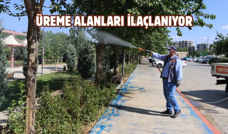 Şanlıurfa’da vektörle mücadele çalışmaları sürüyor