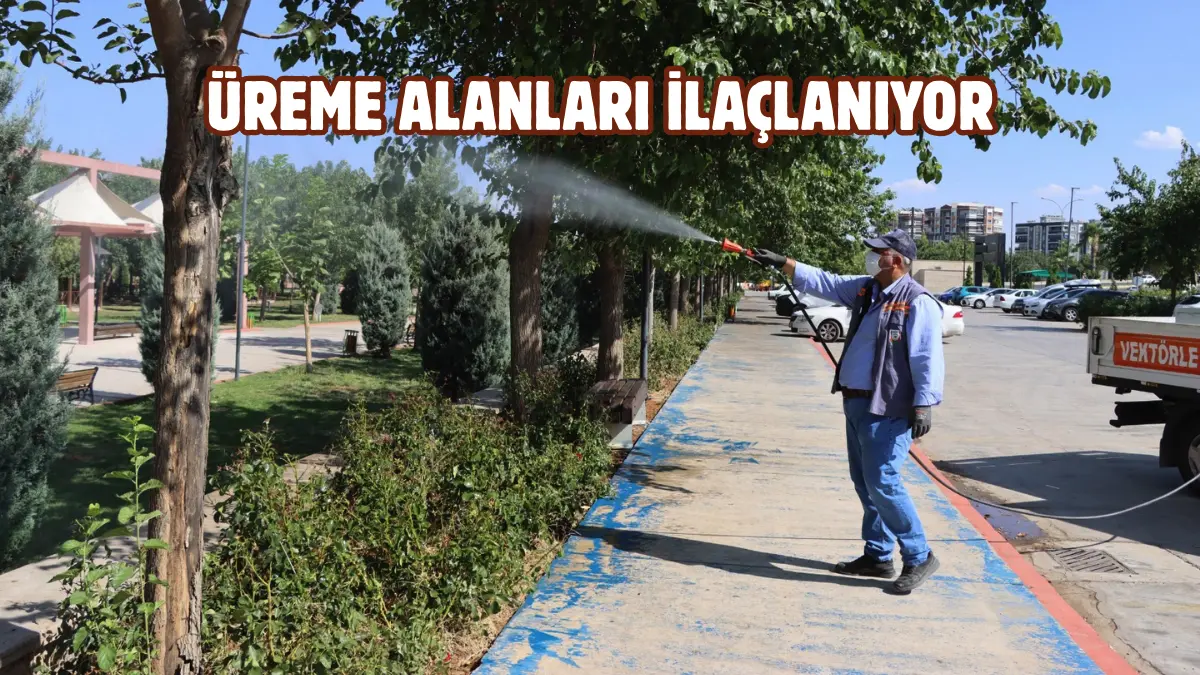 Şanlıurfa Büyükşehir Belediyesi, yaz aylarında artış gösteren sivrisinek, karasinek ve