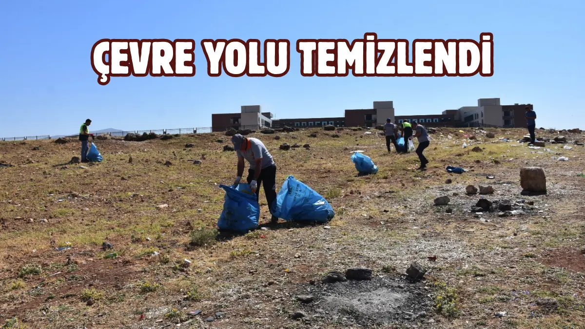 Siirt Belediyesi vatandaşlara daha sağlıklı, temiz ve yaşanabilir bir çevre