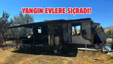 Ankara’da hobi bahçesi yangını: 12 bahçe hasar gördü