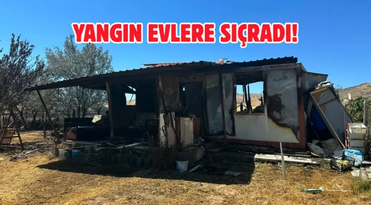 Ankara’da hobi bahçesi yangını: 12 bahçe hasar gördü