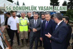 Trabzon’da sokak hayvanları yaşam merkezi hızla yükseliyor