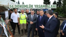 Trabzon’da sokak hayvanları yaşam merkezi hızla yükseliyor