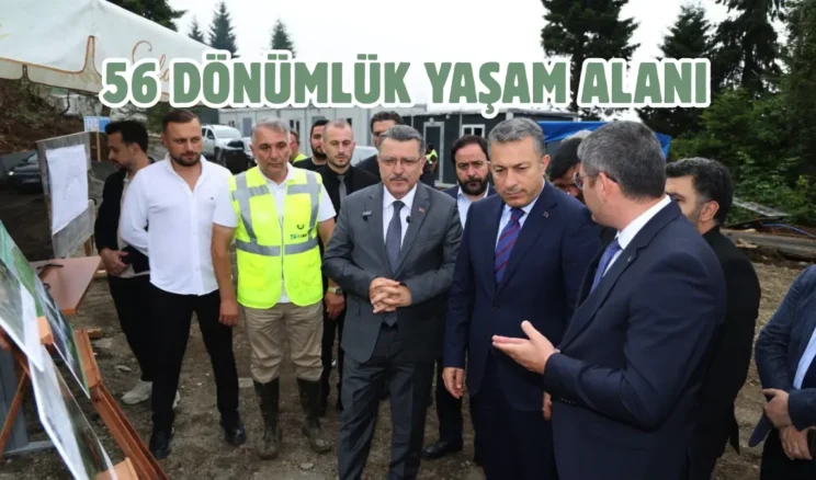Trabzon’da sokak hayvanları yaşam merkezi hızla yükseliyor