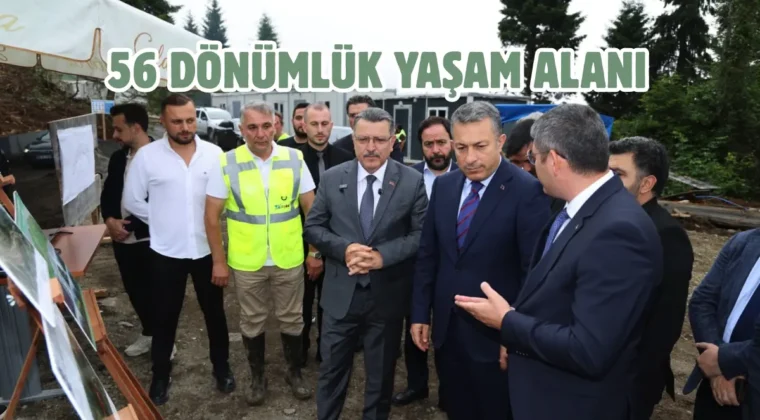 Trabzon’da sokak hayvanları yaşam merkezi hızla yükseliyor