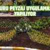 Van’da cadde ve refüjler çiçeklerle süsleniyor