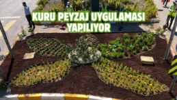 Van’da cadde ve refüjler çiçeklerle süsleniyor