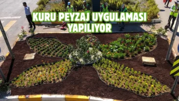 Van’da cadde ve refüjler çiçeklerle süsleniyor