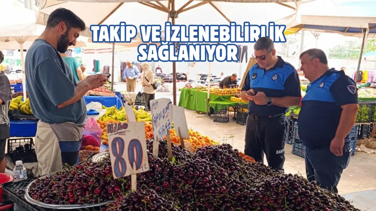 Yalova Belediyesi, sebze ve meyvelerin tarladan tezgaha kadar olan serüveninin
