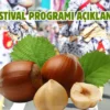 Atakum’da Geleneksel Fındık Festivali başlıyor