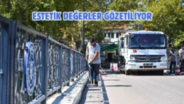 Bursa Gölyazı’da temizlik ve düzenleme çalışması başladı