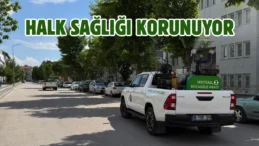 Çorum’da vektörel mücadele sürüyor