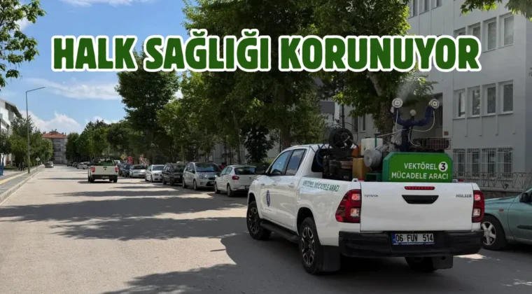 Çorum’da vektörel mücadele sürüyor