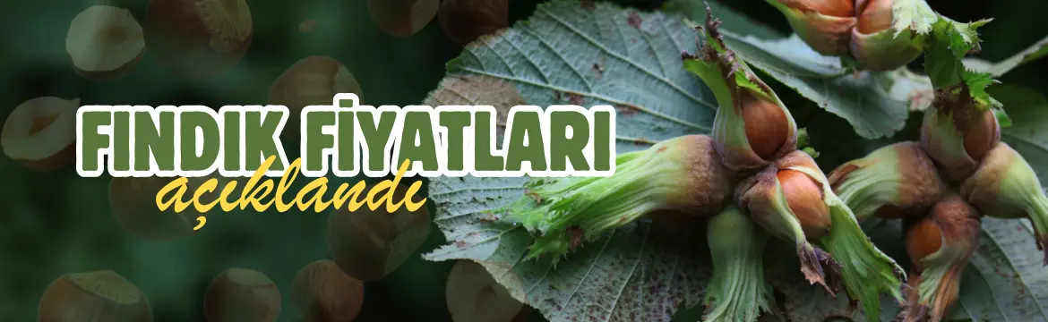 Karadeniz Bölgesi’nin önemli tarımsal üretim