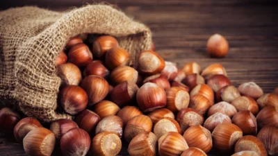 Karadeniz Bölgesi’nin önemli tarımsal üretim ürünleri arasında yer alan fındık,