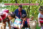 Başkan Köse kreş öğrencileriyle fındık hasadı yaptı