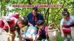 Başkan Köse kreş öğrencileriyle fındık hasadı yaptı