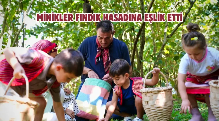 Başkan Köse kreş öğrencileriyle fındık hasadı yaptı
