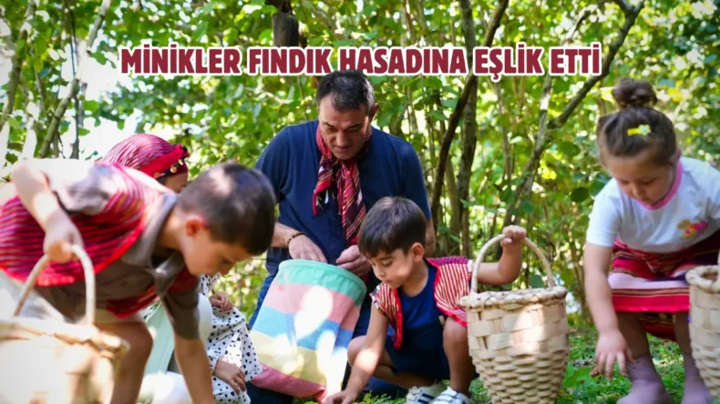Başkan Köse kreş öğrencileriyle fındık hasadı yaptı