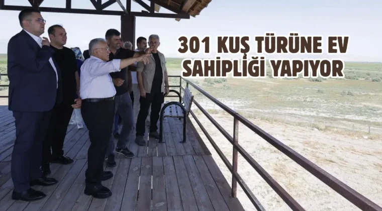Türkiye’nin en önemli sulak alanlarından: Sultan Sazlığı Milli Parkı