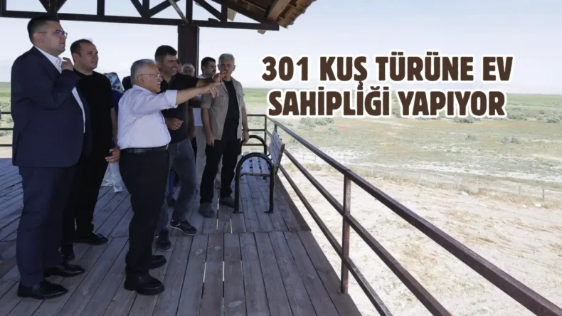Türkiye’nin en önemli sulak alanlarından: Sultan Sazlığı Milli Parkı