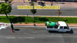 Kayseri’de kapsamlı ilaçlama seferberliği