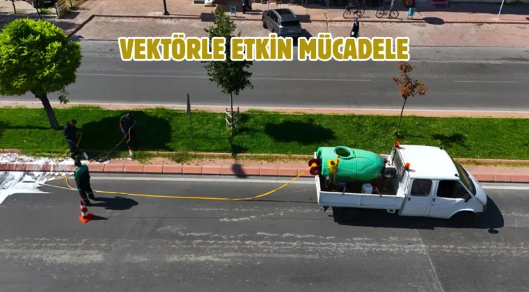 Kayseri’de kapsamlı ilaçlama seferberliği