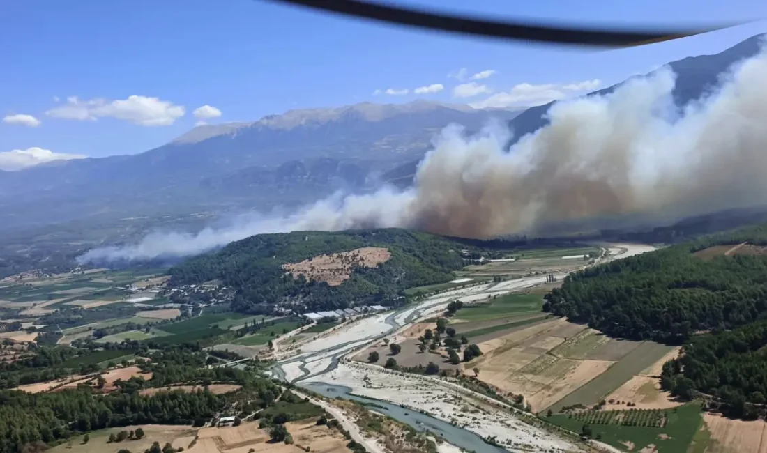 Muğla Seydikemer Korubükü köyü yakınlarında saat 10:40 sıralarında ziraat alanda