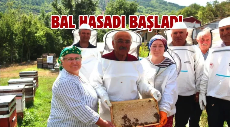 Ordu’da arıcılara Varroa ilacı desteği verilecek