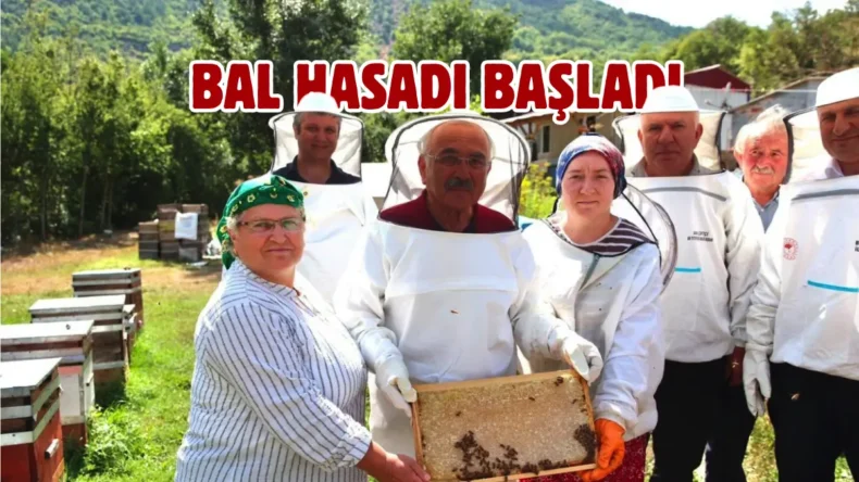 Ordu’da arıcılara Varroa ilacı desteği verilecek
