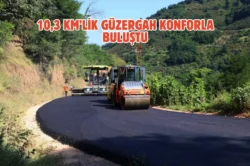 Ordu kırsalında sıcak asfalt seferberliği