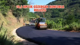 Ordu kırsalında sıcak asfalt seferberliği