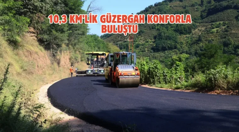 Ordu kırsalında sıcak asfalt seferberliği