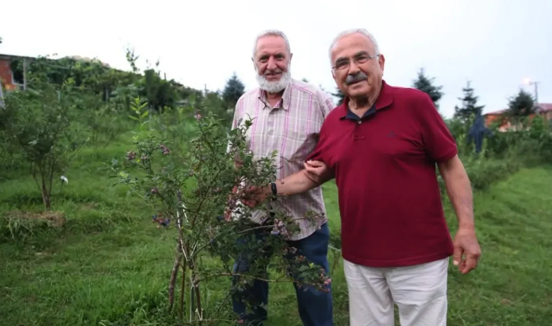 Ordu’nun Gürgentepe ilçesinde üretimi gerçekleştirilen mavi yemiş ve çoban fasülyesi