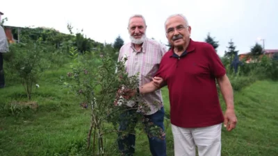 Ordu’nun Gürgentepe ilçesinde üretimi gerçekleştirilen mavi yemiş ve çoban fasülyesi