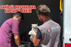 Sincan’da sahipsiz hayvanlara rehabilitasyon desteği