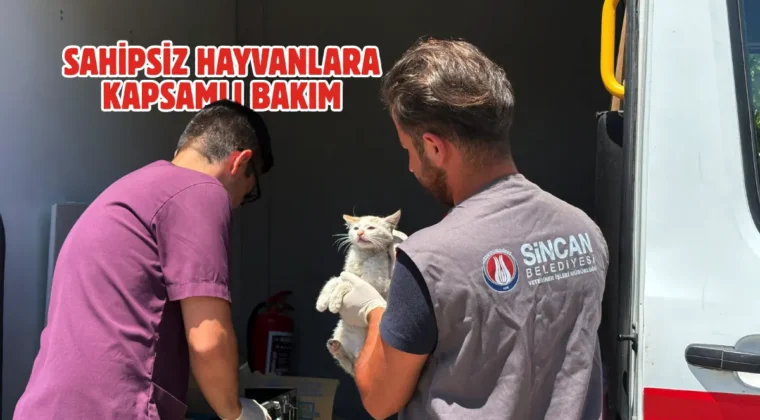 Sincan’da sahipsiz hayvanlara rehabilitasyon desteği