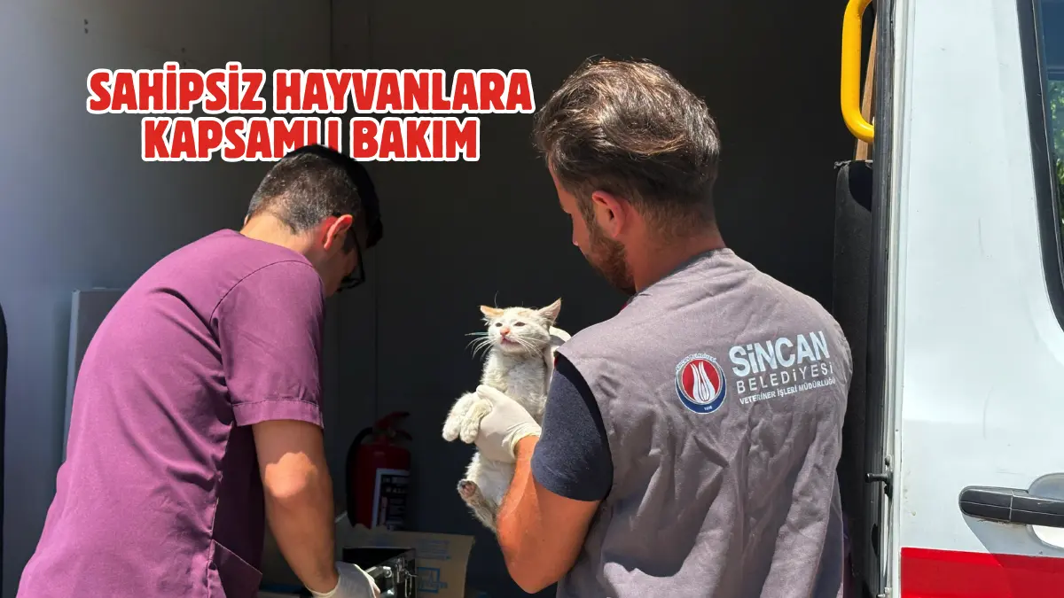 Sincan Belediyesi, ilçede yaşayan sahipsiz hayvanların daha güvenli ve sağlıklı